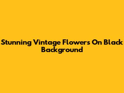 Stunning Vintage Flowers On Black Background